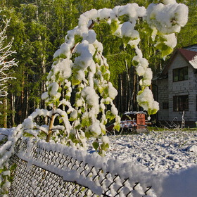 Случайные фотографии. Природа