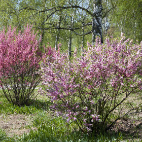 Лучшие фото. ПРИРОДА (0)