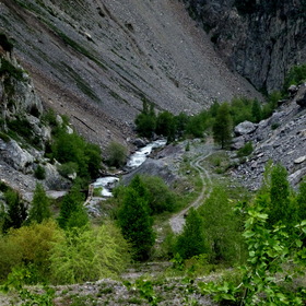Nature Life.  .