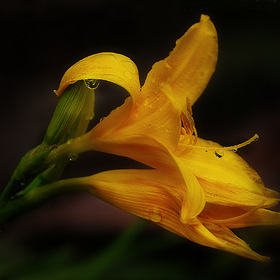 Случайные фотографии. ***