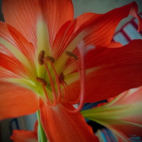 природа