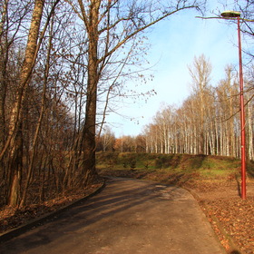 Парковая аллея в ноябре