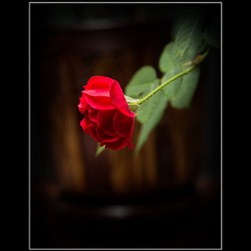 Случайные фотографии. природа