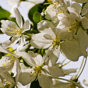 Лучшие фото. ПРИРОДА (0)