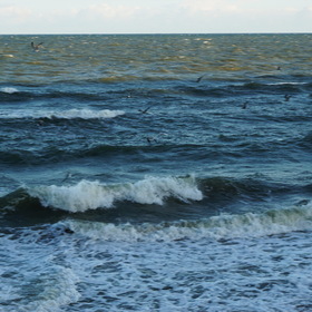 Природа, фотосъемка. Балтийское море.