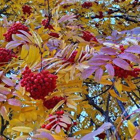 Лучшие фото. ПРИРОДА (0)