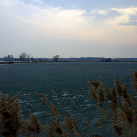 Город