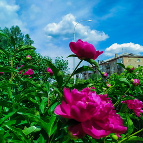 Природа