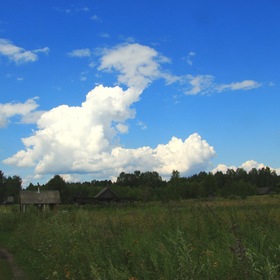 Летний день