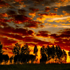 Природа