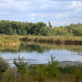 Речка, реченька