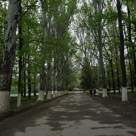 Природа, фотосъемка.