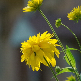 Природа