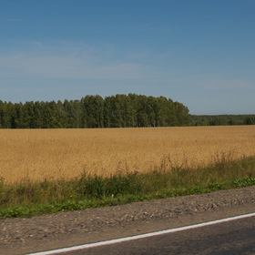 Пейзаж
