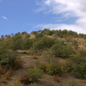 Дорогами Крыма