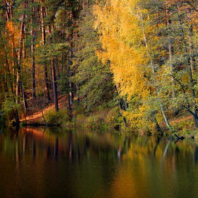 Панорама