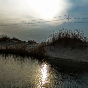 Природа, фотосъемка.