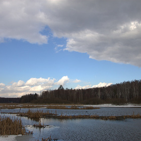 Пехорка