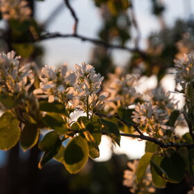 Лучшие фото. ПРИРОДА (0)