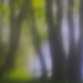 Случайные фотографии. Природа