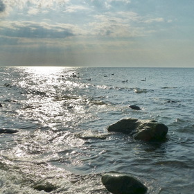 Природа. Балтийское море.