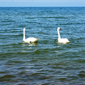 Природа, фотосъемка.  Балтийское море.