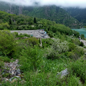 Nature Life. Окрестности Алматы.