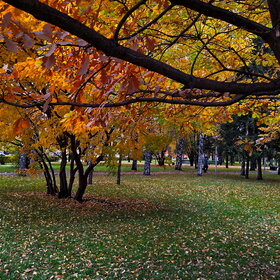 Лучшие фото. ПРИРОДА (0)