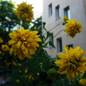 Природа, фотосъемка