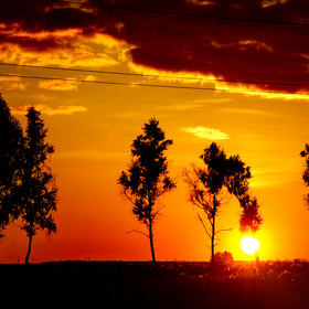 Природа
