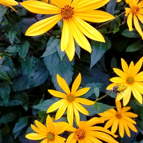 Природа