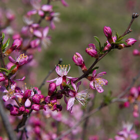 Лучшие фото. ПРИРОДА (0)