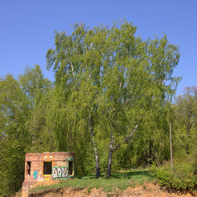 Граффити