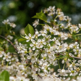 Лучшие фото. Природа (0)