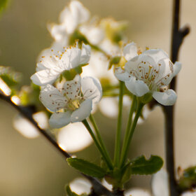 Лучшие фото. ПРИРОДА (0)