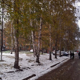 Лучшие фото. ПРИРОДА (0)