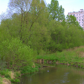 Пехорка в Кучино