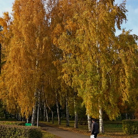 Природа