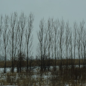 Природа, фотосъемка.
