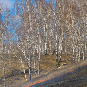 Лучшие фото. ПРИРОДА (0)