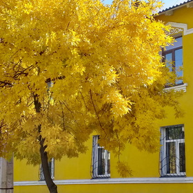 город Алматы.