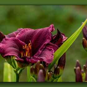 Случайные фотографии. ПРИРОДА