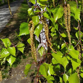 Лучшие фото. ПРИРОДА (0)