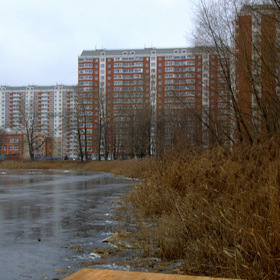 Камыш