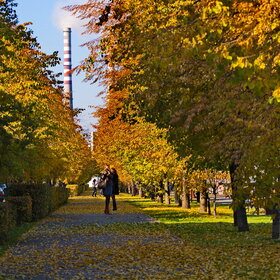 Лучшие фото. Жанр Стрит-Фото (0)