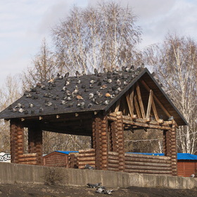 Мой любимый город