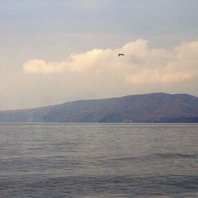 Меганом