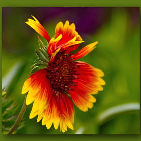 Природа