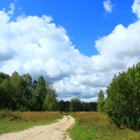 Летняя сельская дорога