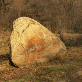 Природа, фотосъемка.
